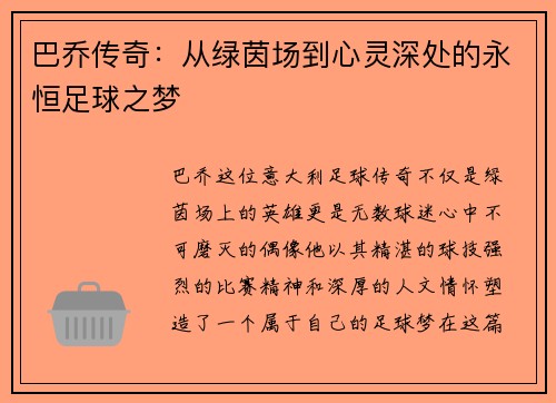 巴乔传奇：从绿茵场到心灵深处的永恒足球之梦